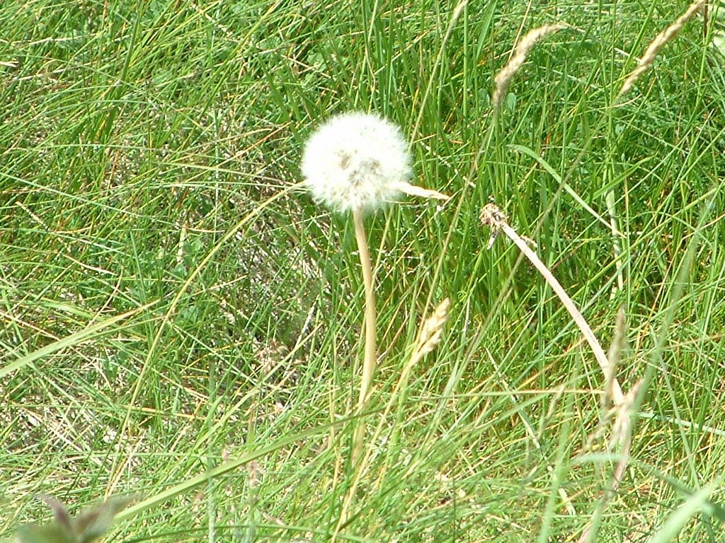 Click now to see this image full size.