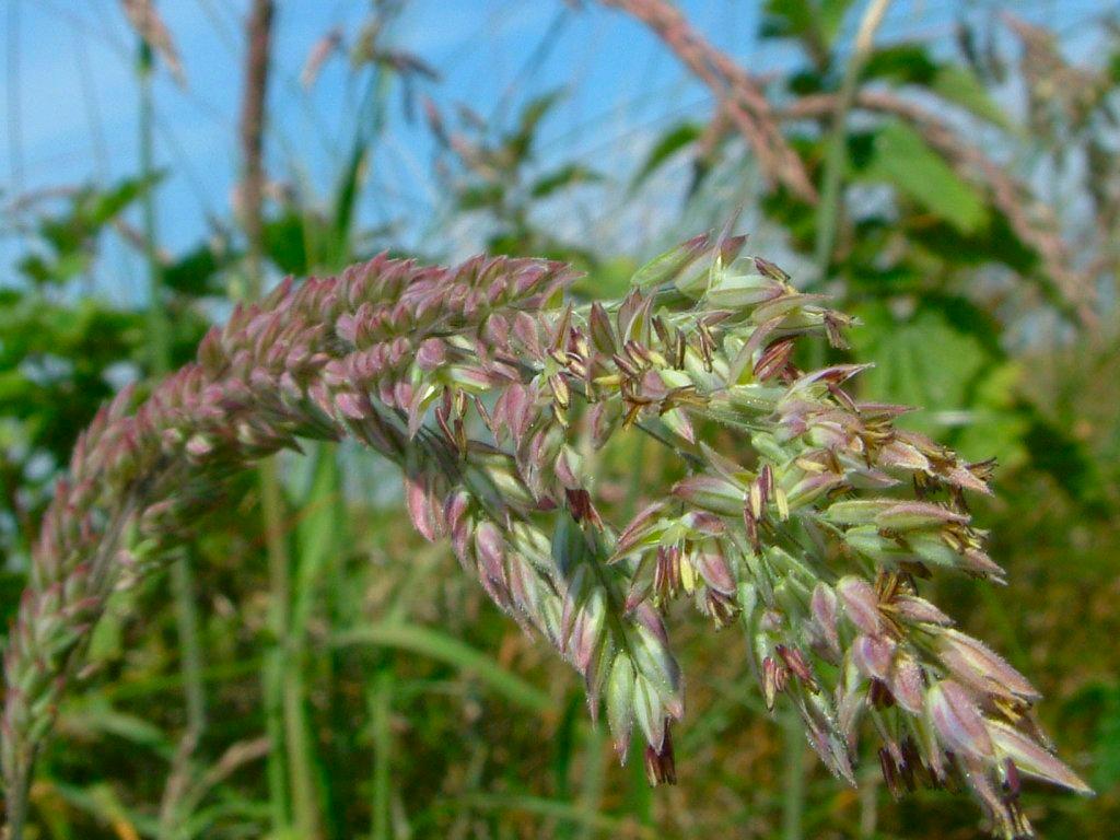 Click now to see this image full size.