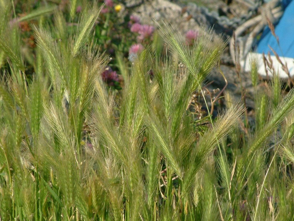 Click now to see this image full size.