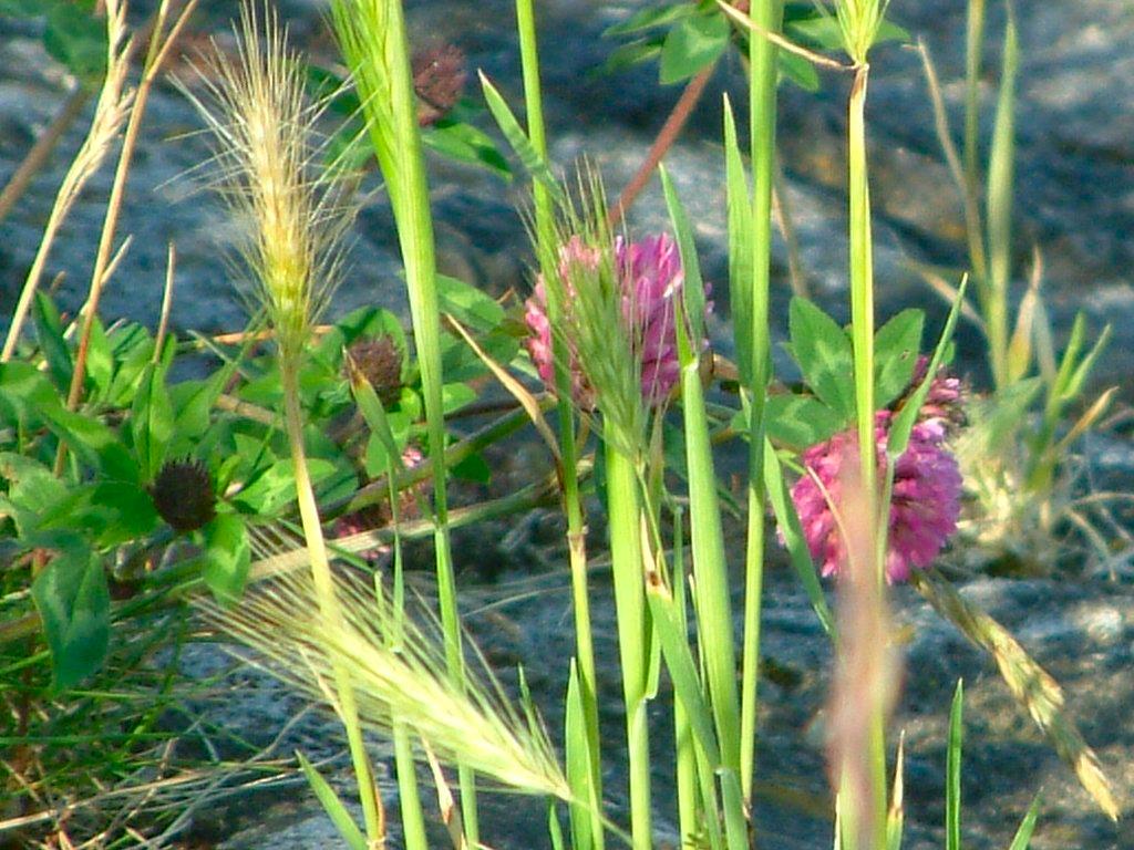 Click now to see this image full size.