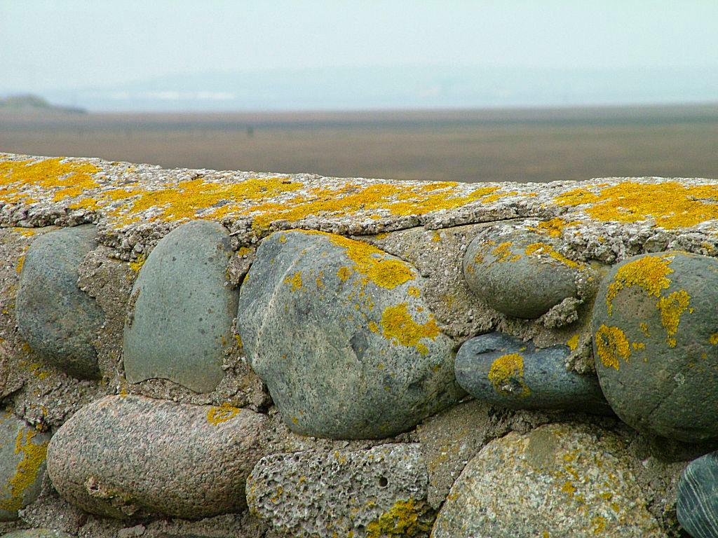 Click now to see this image full size.