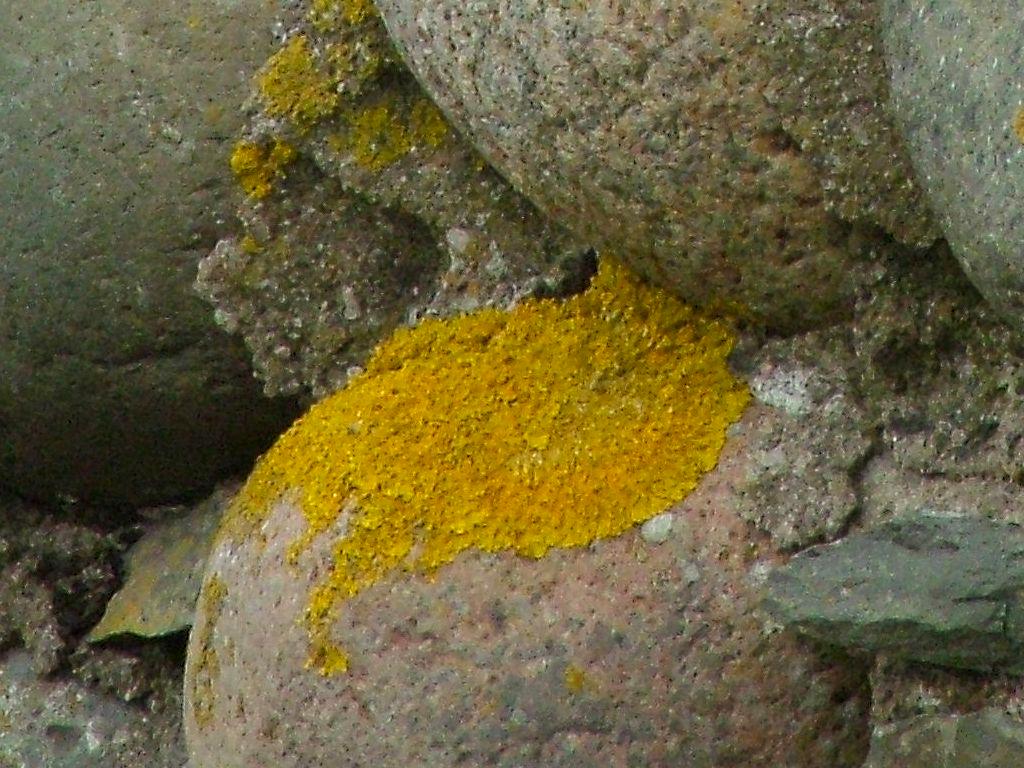 Click now to see this image full size.