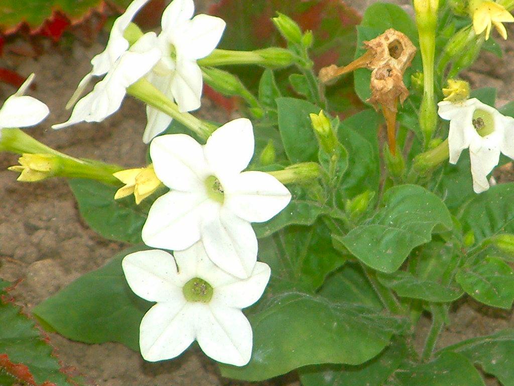 Click now to see this image full size.