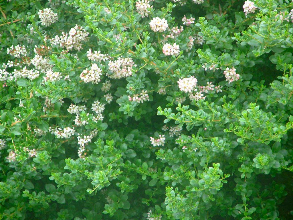 Click now to see this image full size.