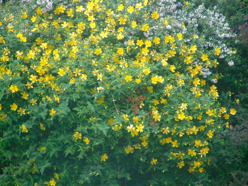 Click now to see this image full size.