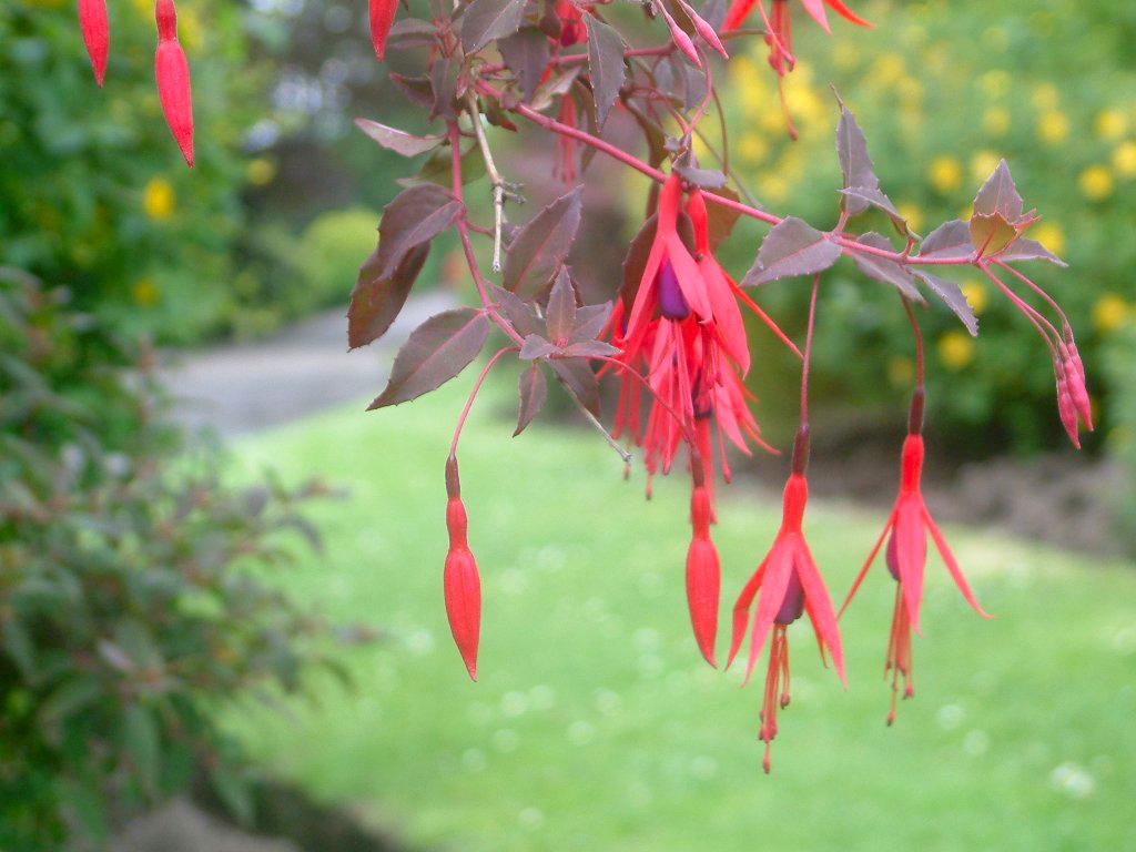 Click now to see this image full size.