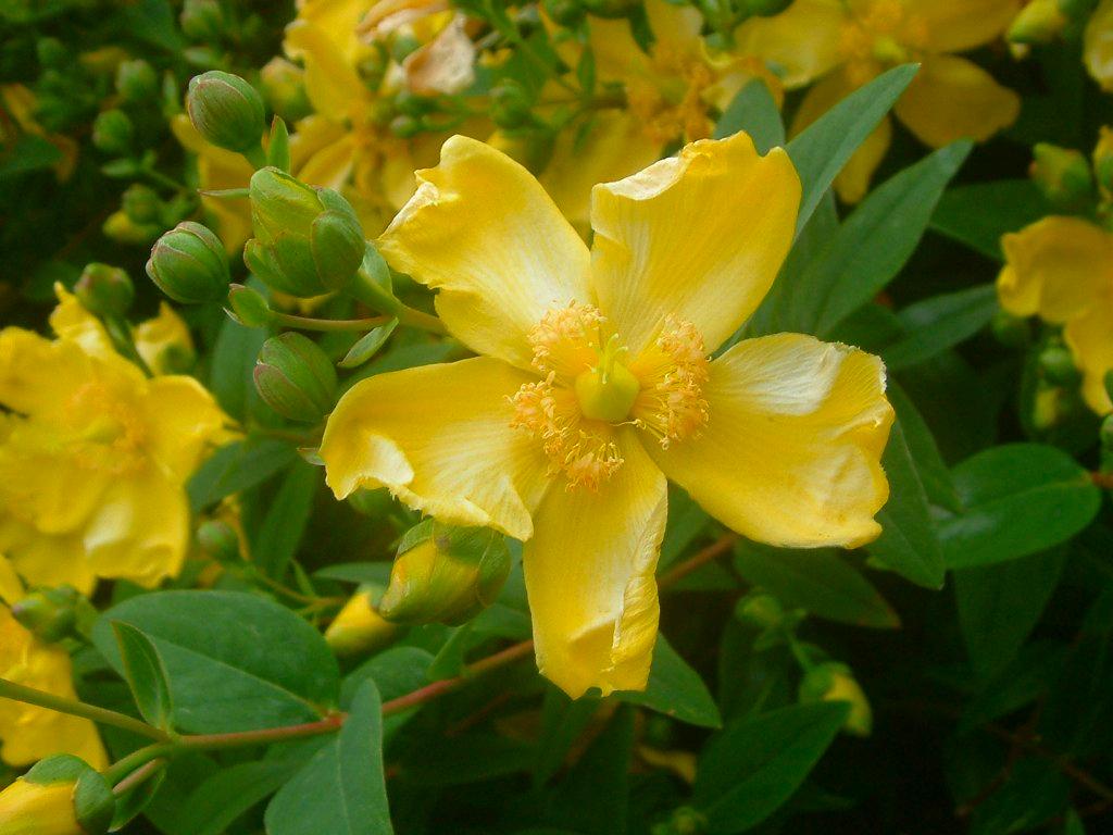 Click now to see this image full size.