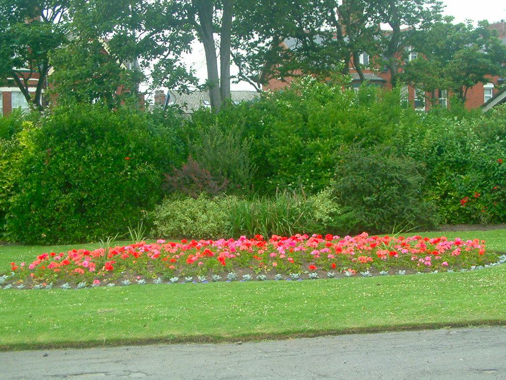 Click now to see this image full size.