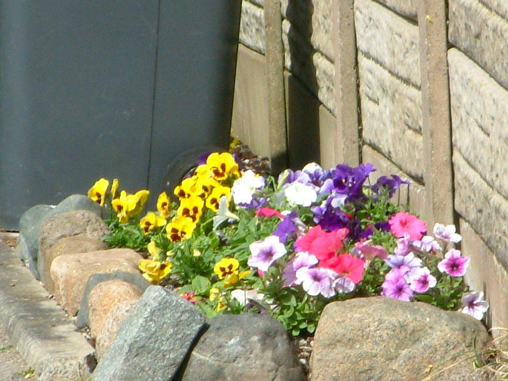 Click now to see this image full size.