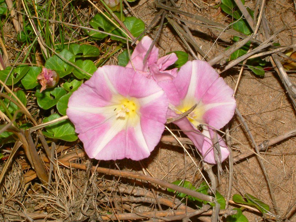 Click now to see this image full size.