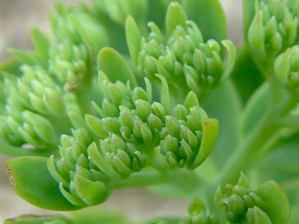 Click now to see this image full size.