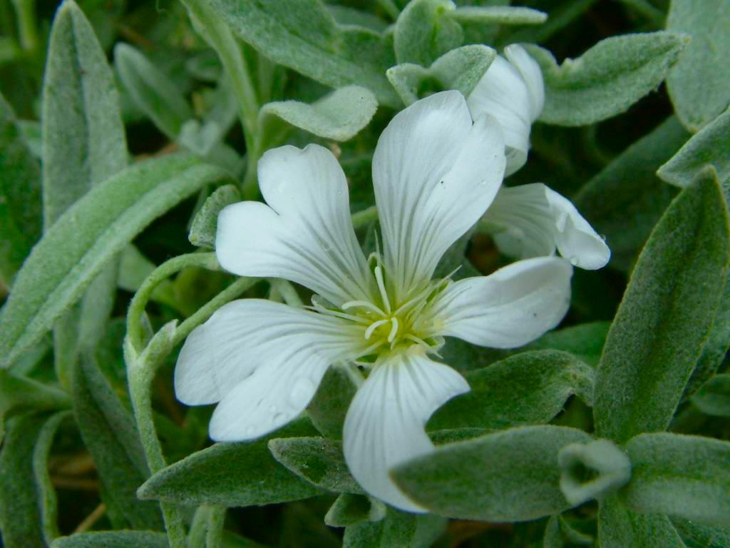 Click now to see this image full size.