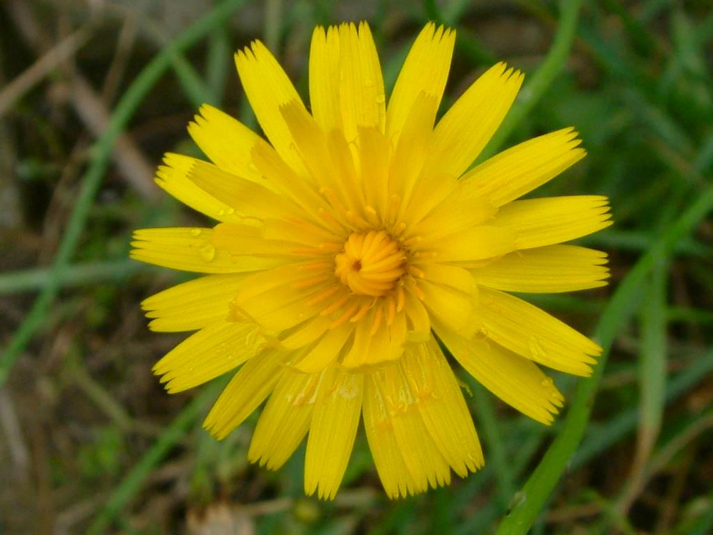 Click now to see this image full size.