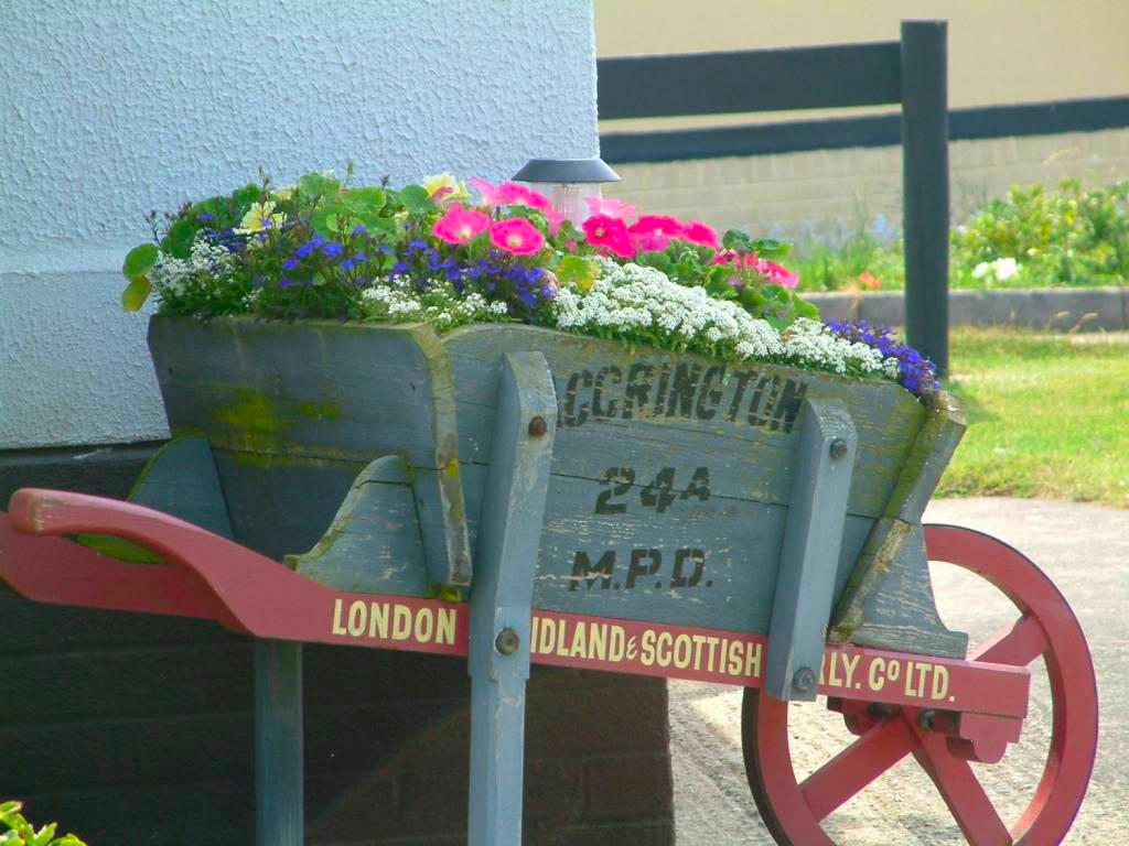 Click now to see this image full size.