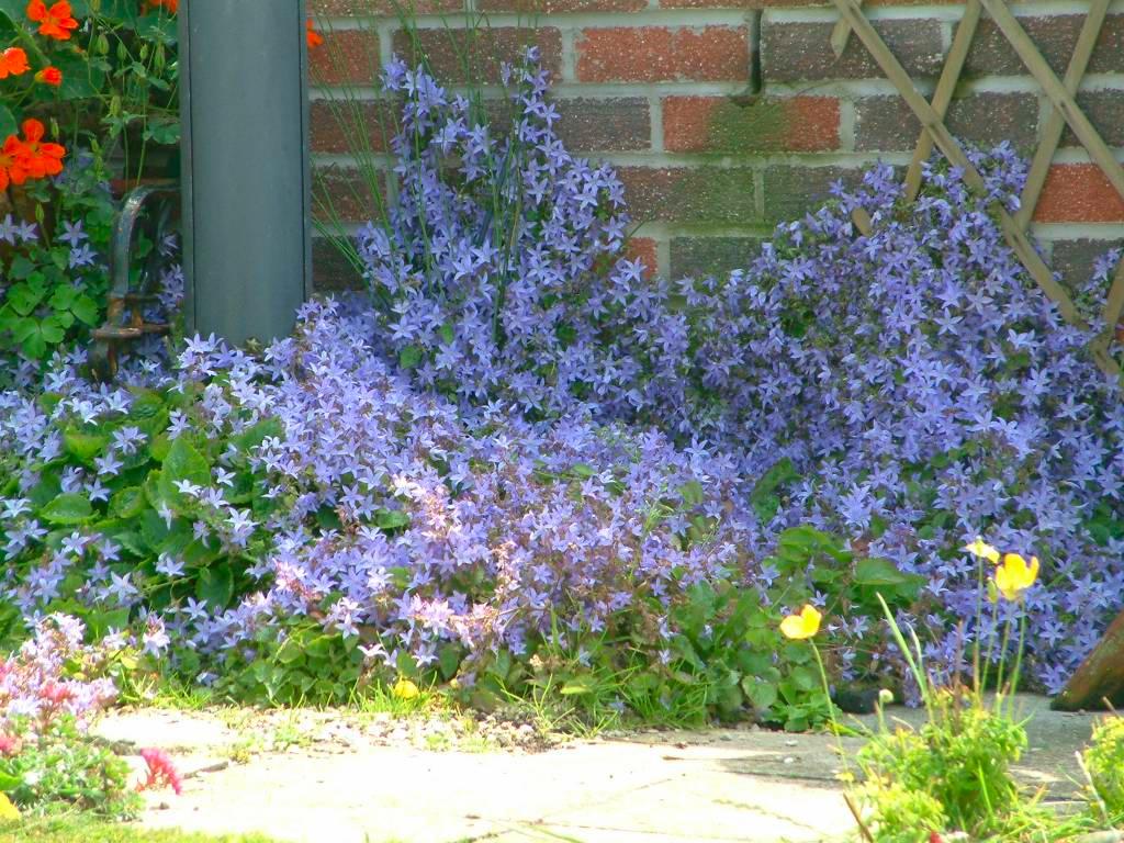 Click now to see this image full size.