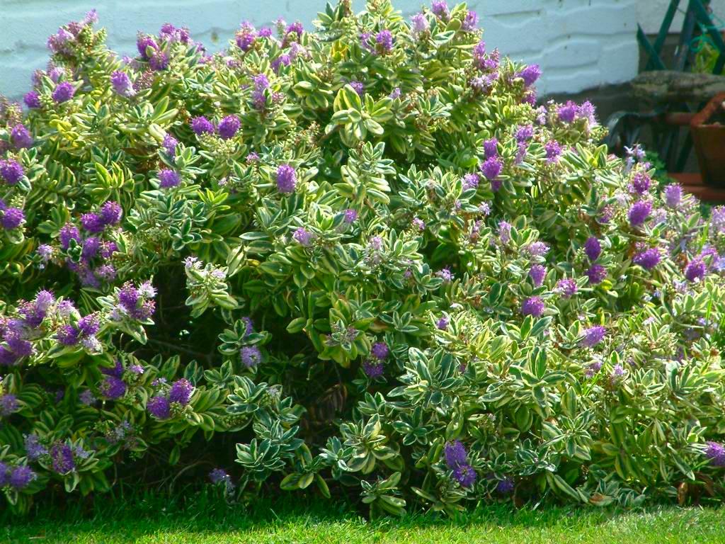 Click now to see this image full size.