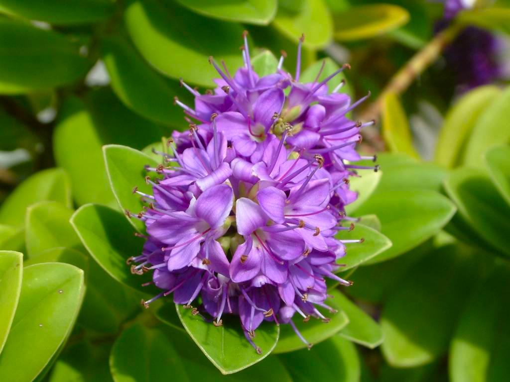 Click now to see this image full size.