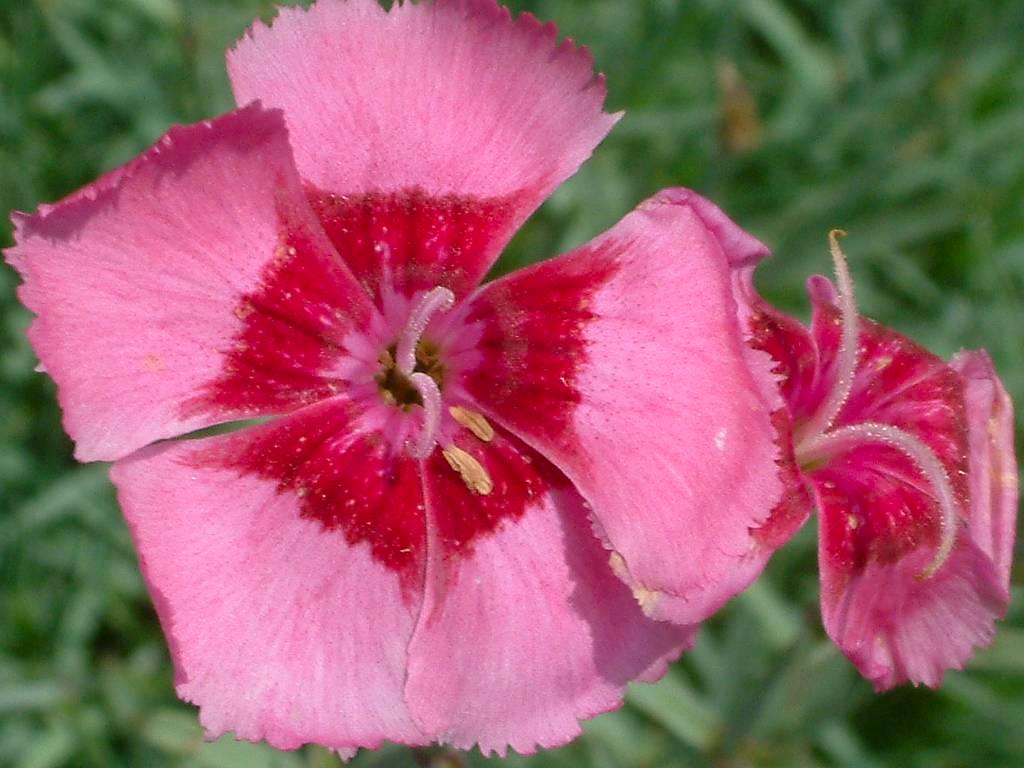 Click now to see this image full size.