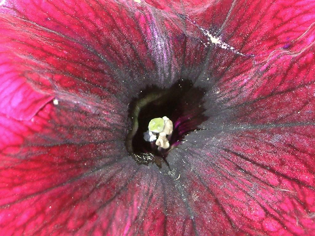 Click now to see this image full size.