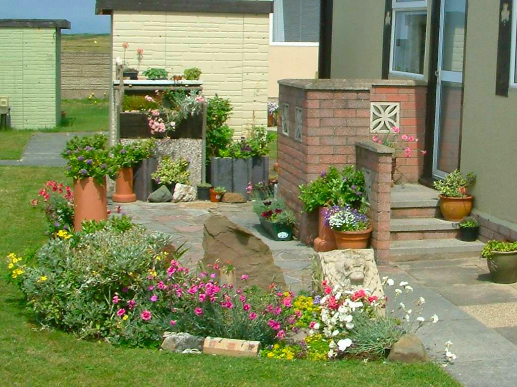 Click now to see this image full size.