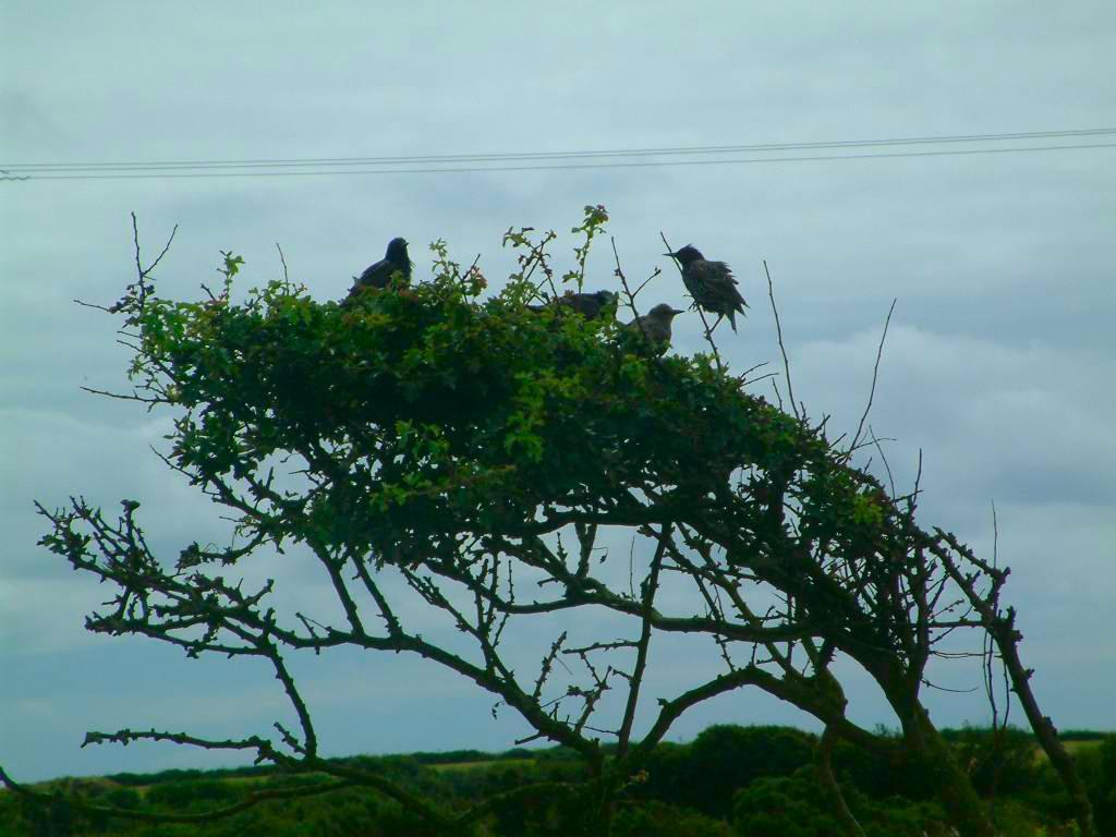 Click now to see this image full size.