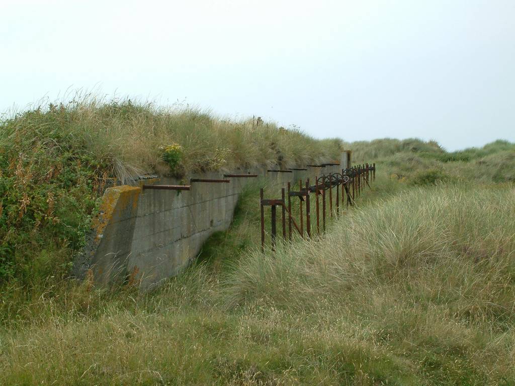 Click now to see this image full size.