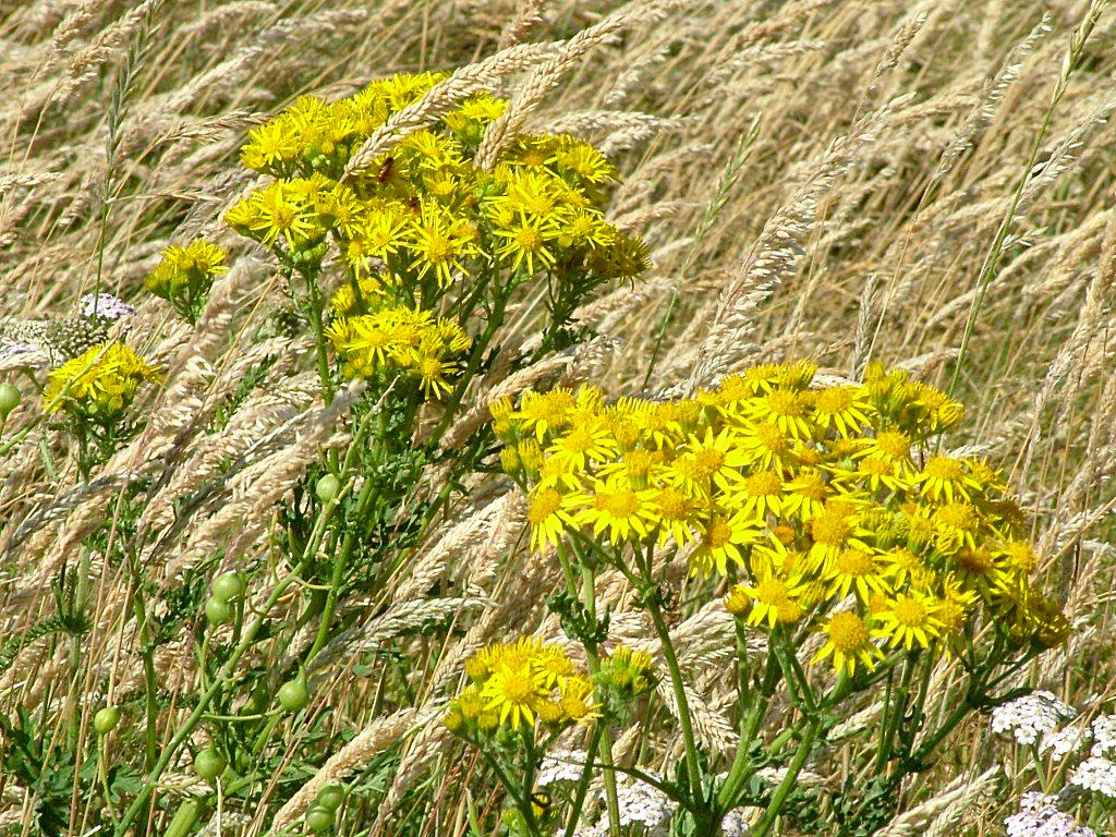 Click now to see this image full size.