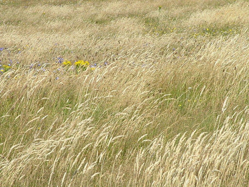 Click now to see this image full size.