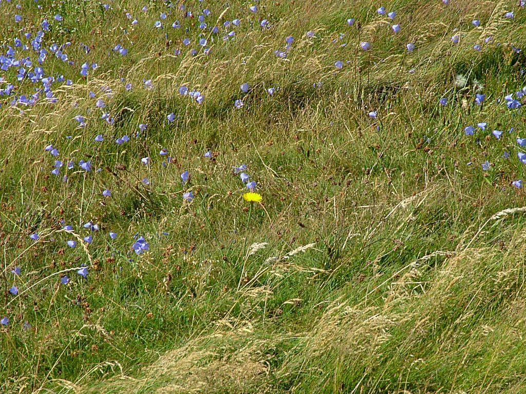 Click now to see this image full size.