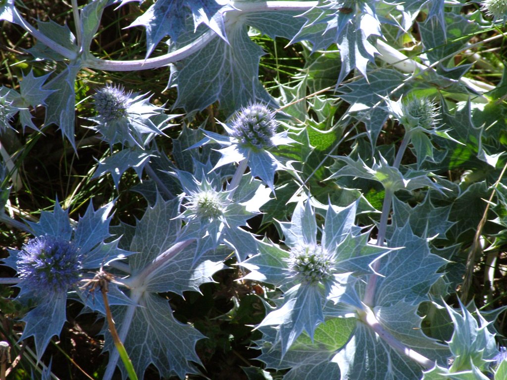 Click now to see this image full size.