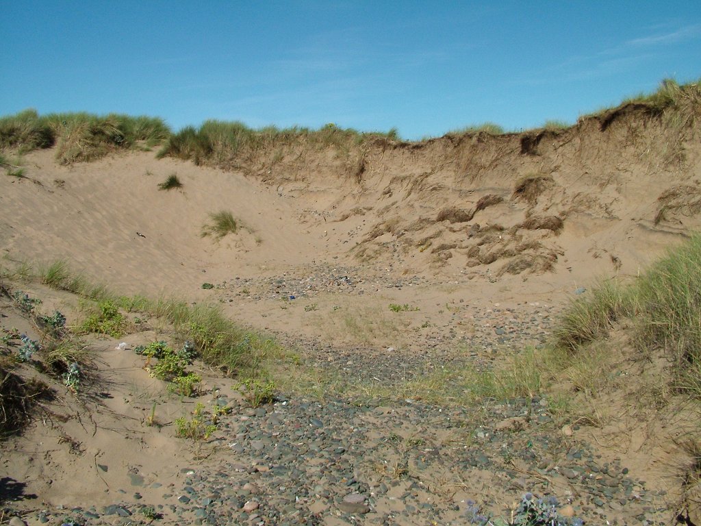 Click now to see this image full size.