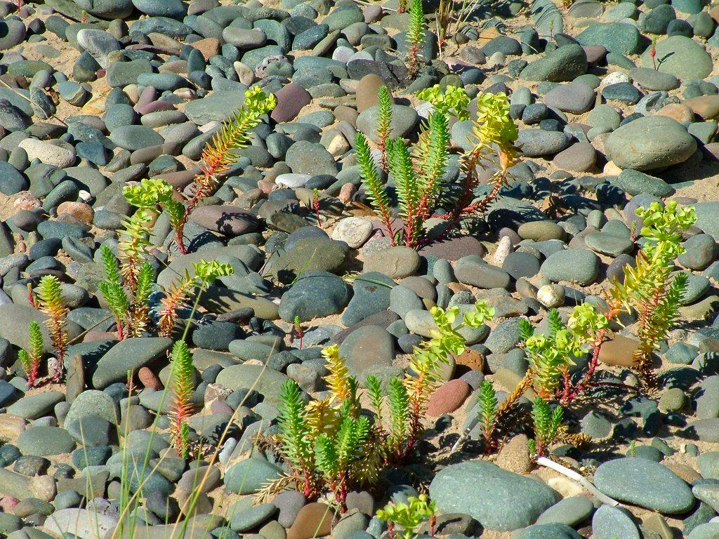 Click now to see this image full size.