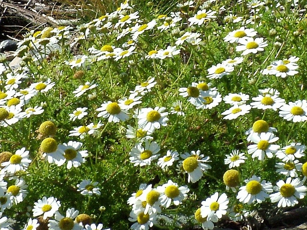 Click now to see this image full size.