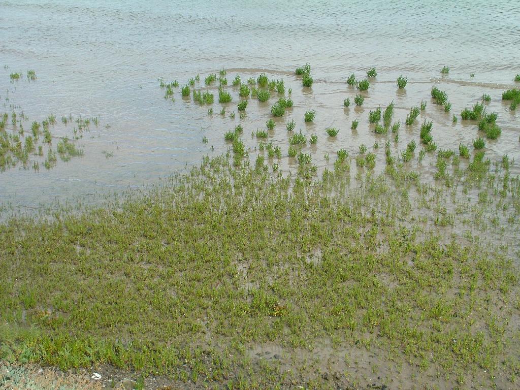 Click now to see this image full size.