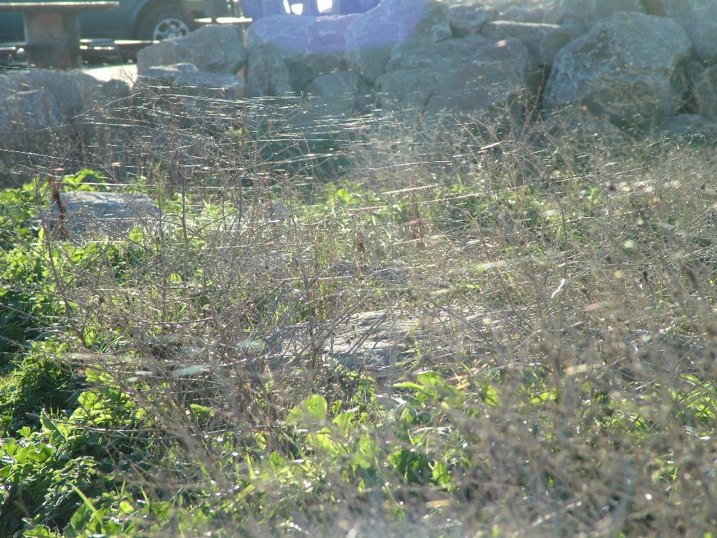 Click now to see this image full size.