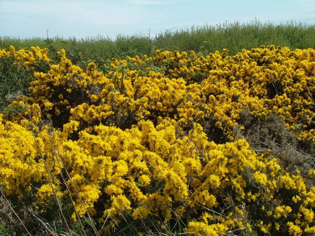 Click now to see this image full size.