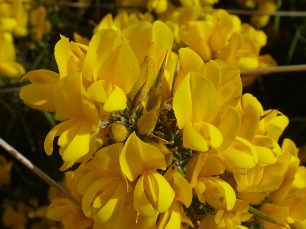 Click now to see this image full size.