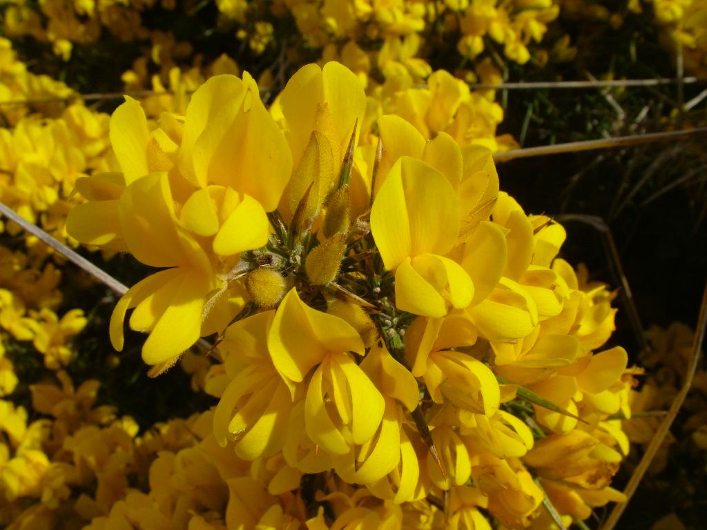 Click now to see this image full size.