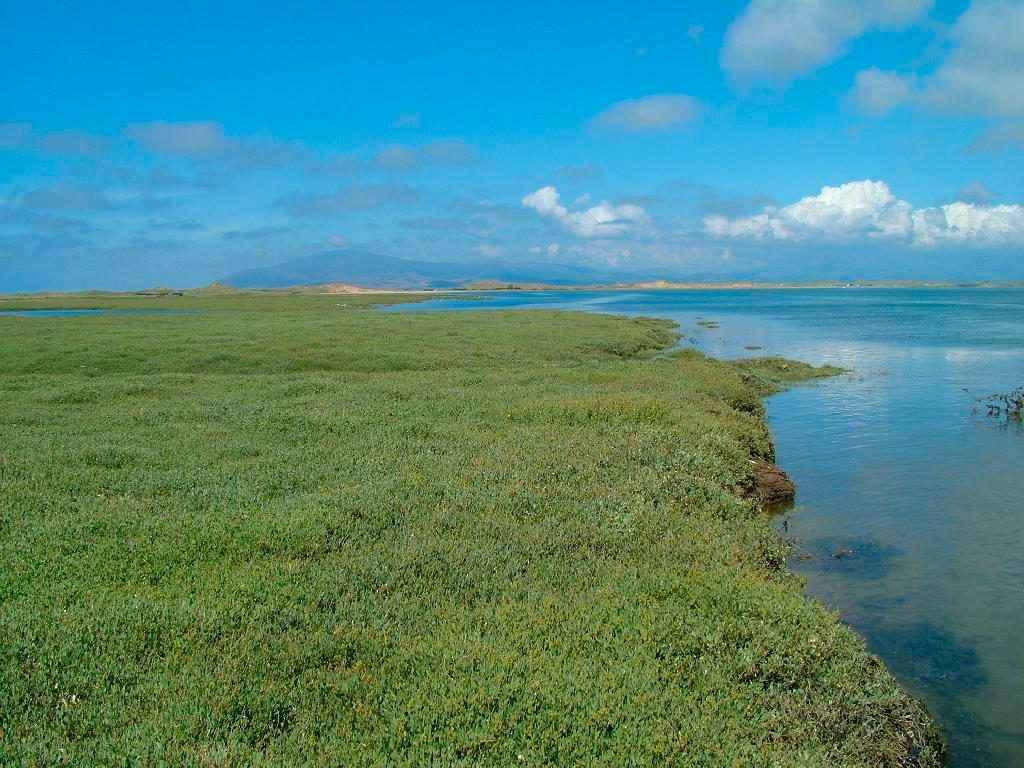 Click now to see this image full size.