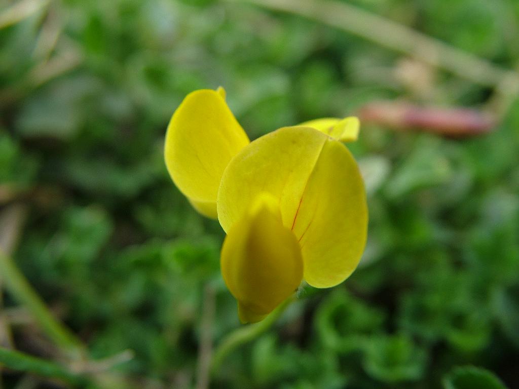 Click now to see this image full size.