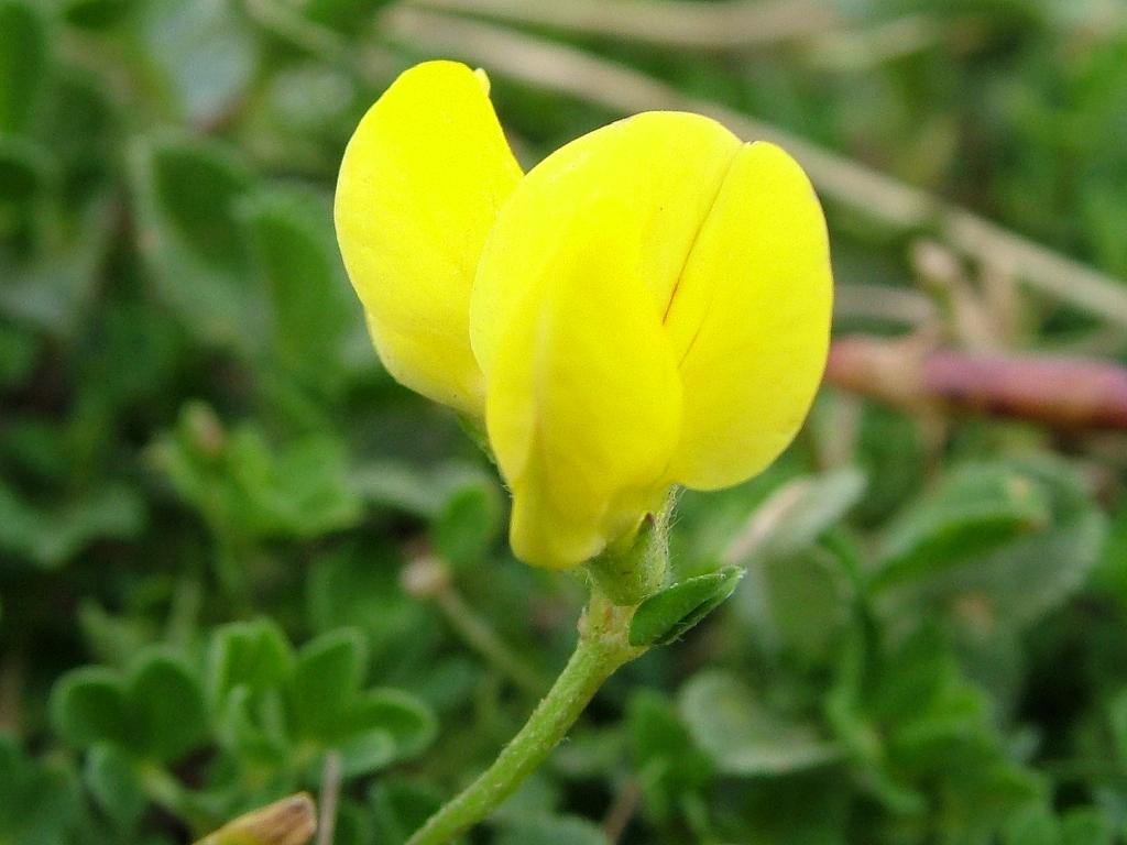 Click now to see this image full size.