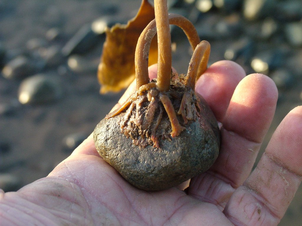 Click now to see this image full size.