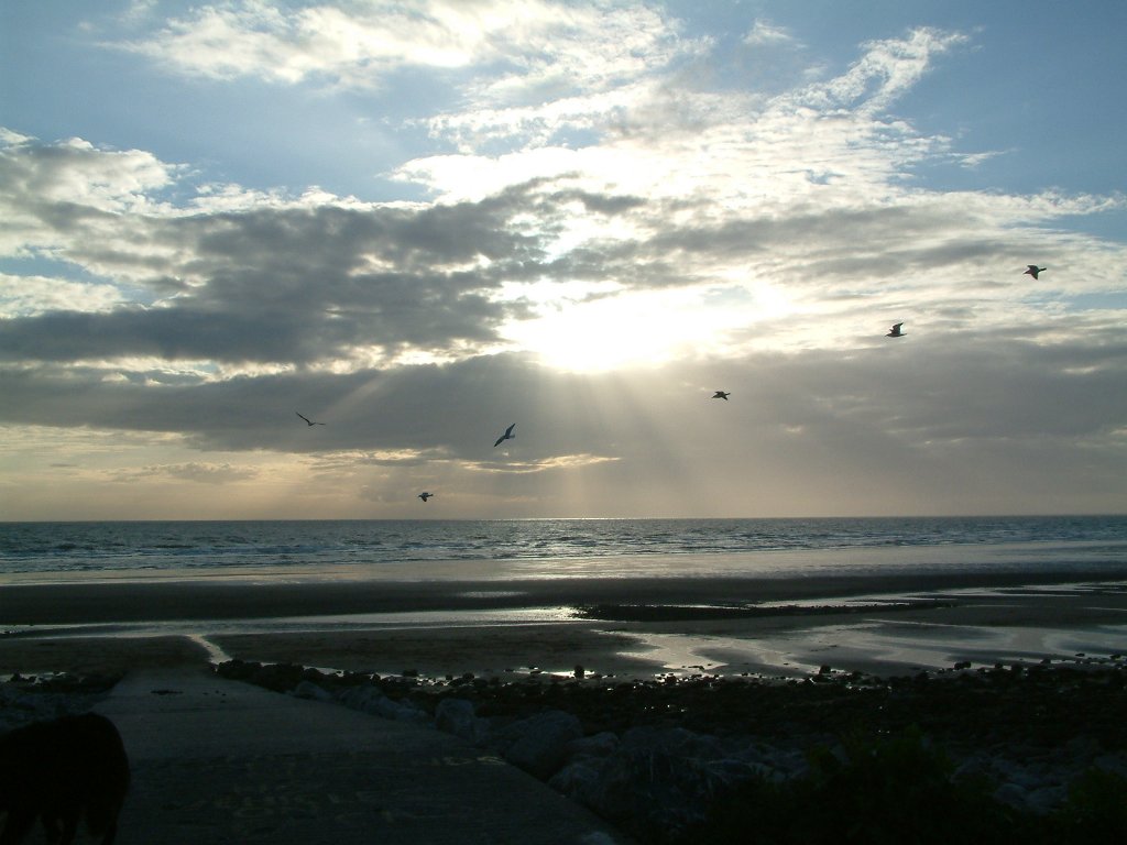 Click now to see this image full size.