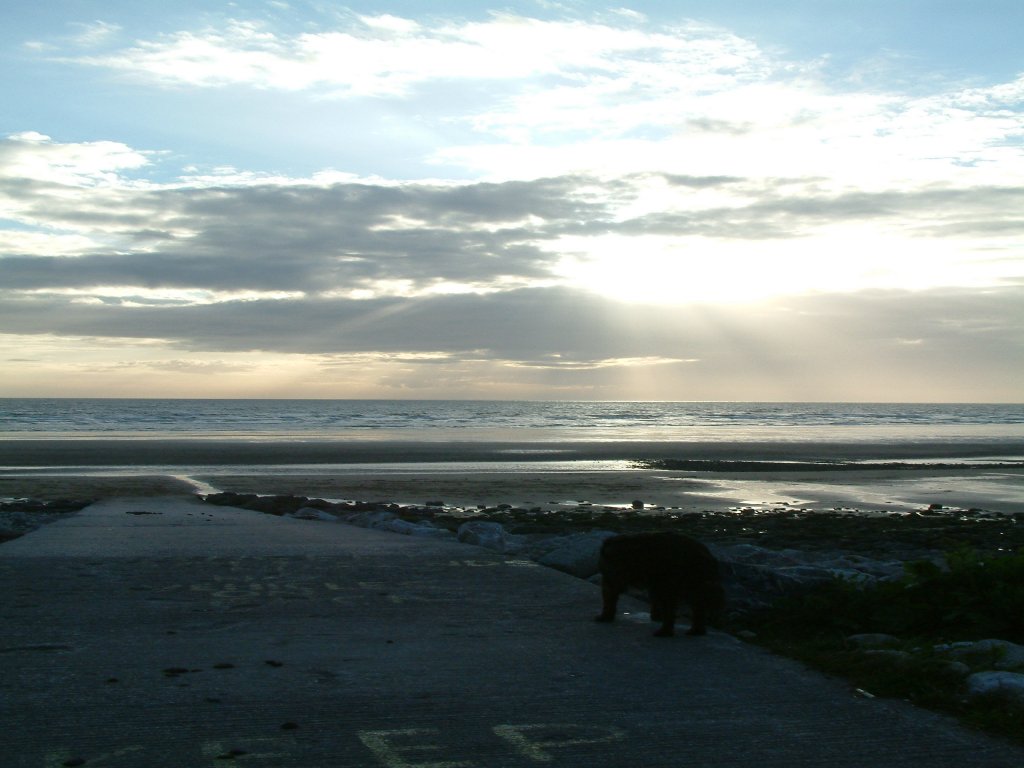 Click now to see this image full size.