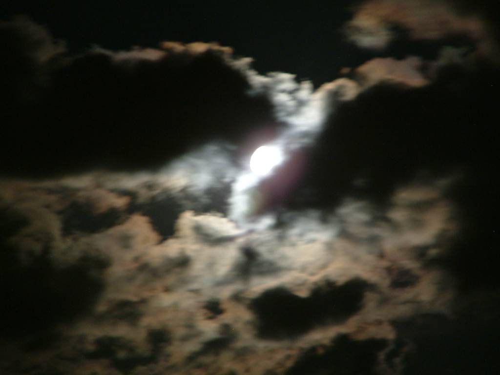 Click now to see this image full size.