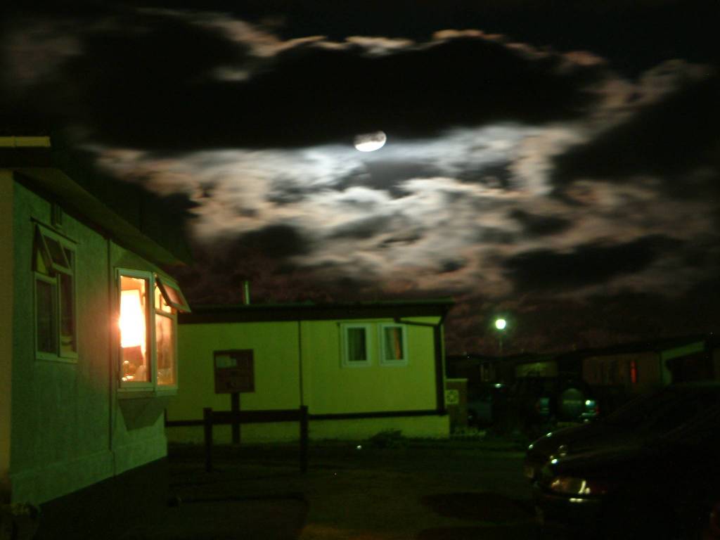 Click now to see this image full size.