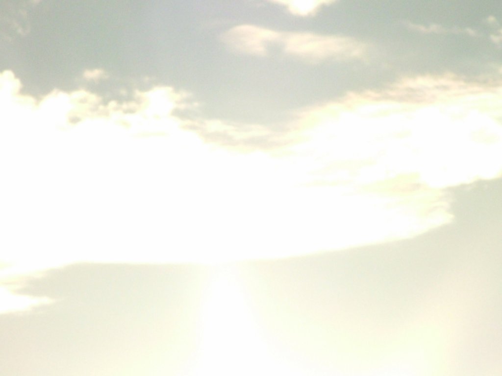 Click now to see this image full size.