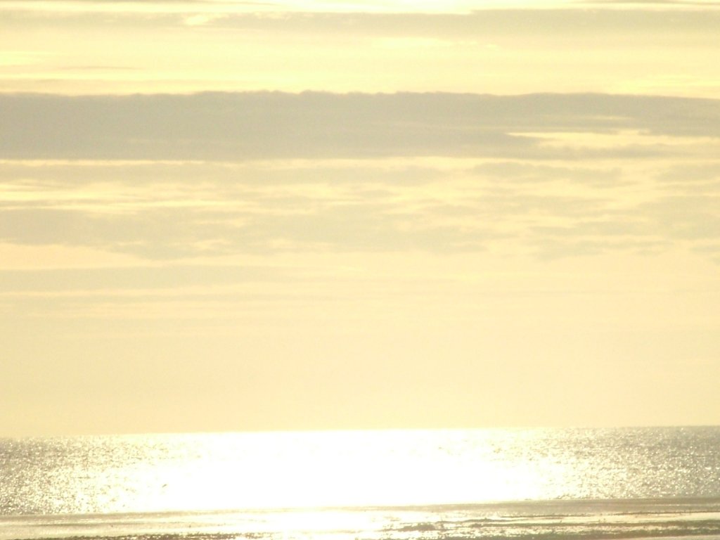 Click now to see this image full size.