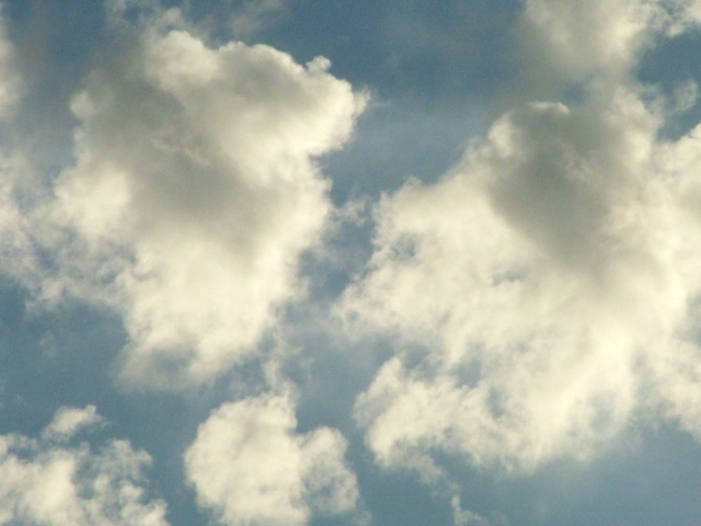 Click now to see this image full size.