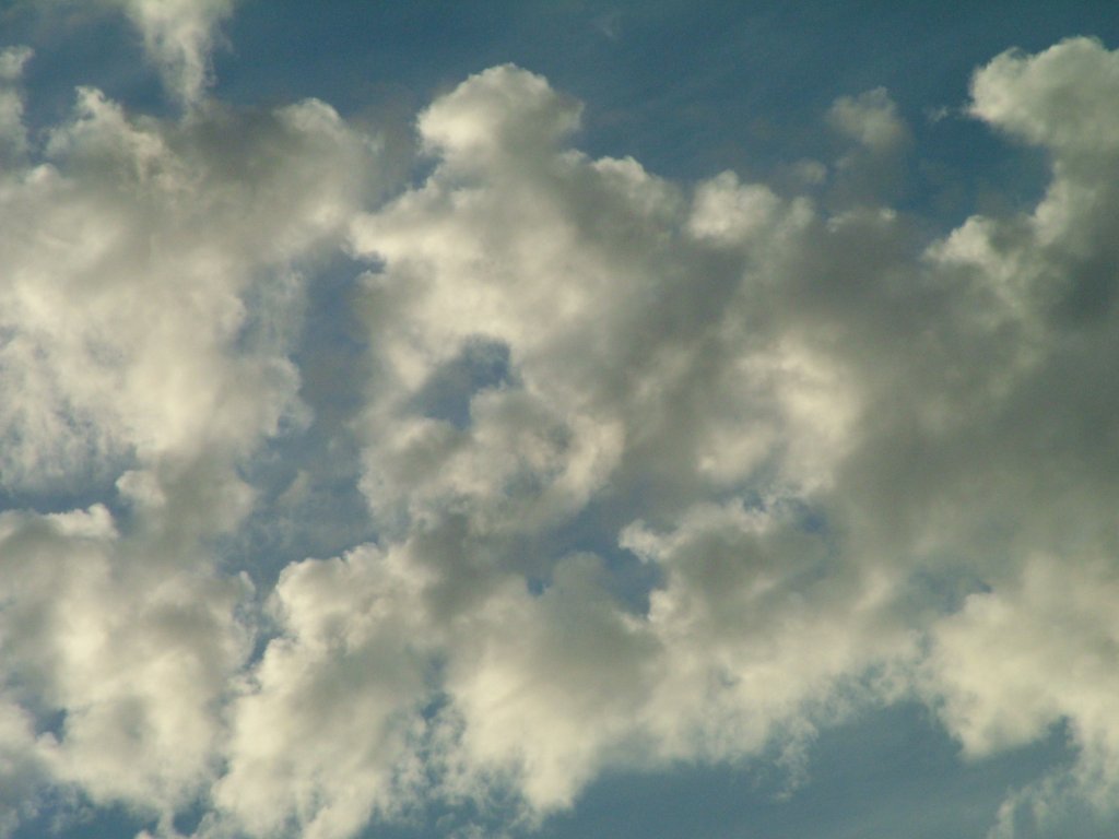 Click now to see this image full size.